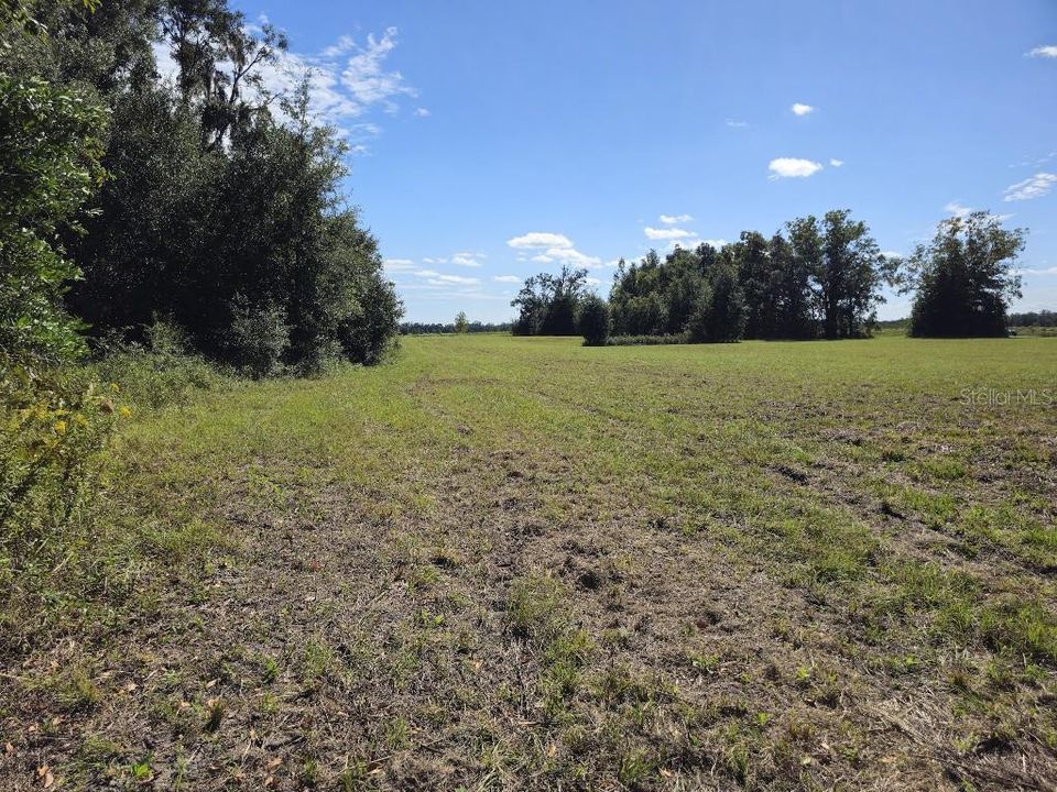 For Sale: $100,000 (4.56 acres)