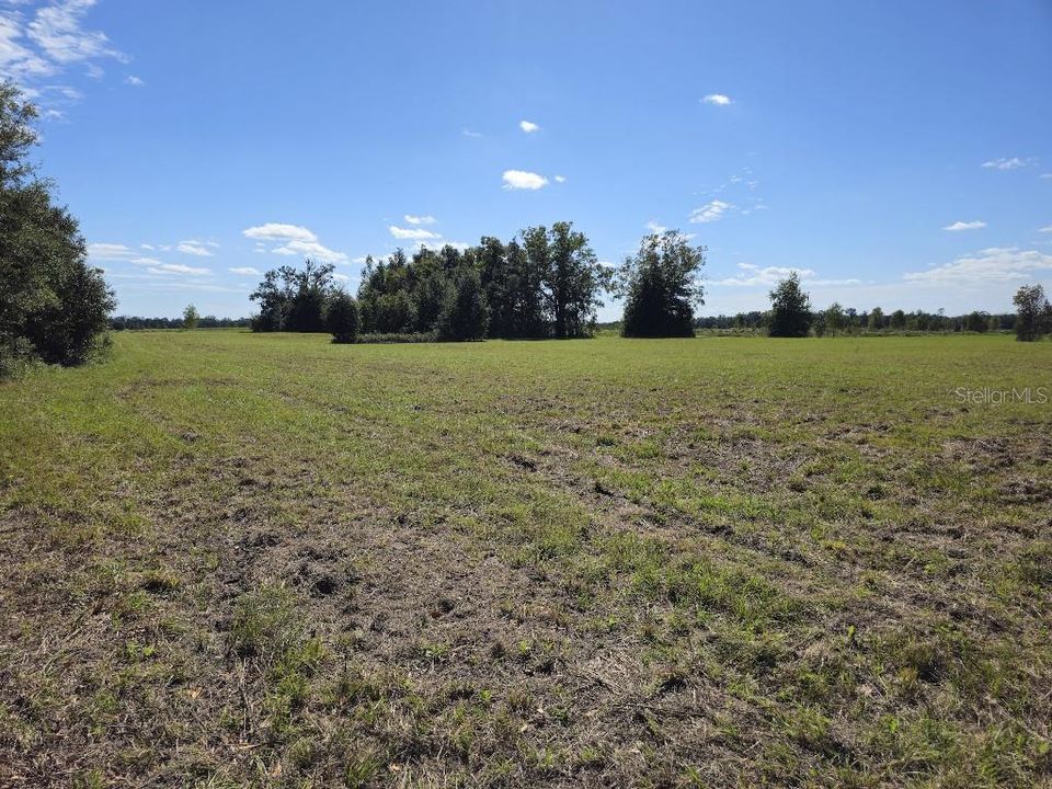 For Sale: $100,000 (4.56 acres)