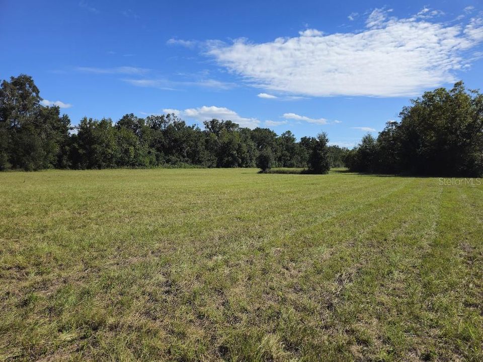 For Sale: $100,000 (4.56 acres)