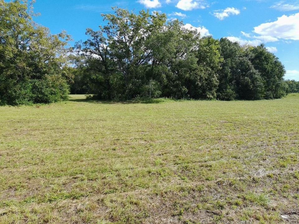 For Sale: $100,000 (4.56 acres)