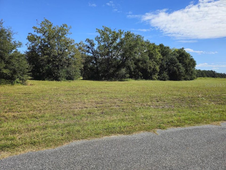 For Sale: $100,000 (4.56 acres)