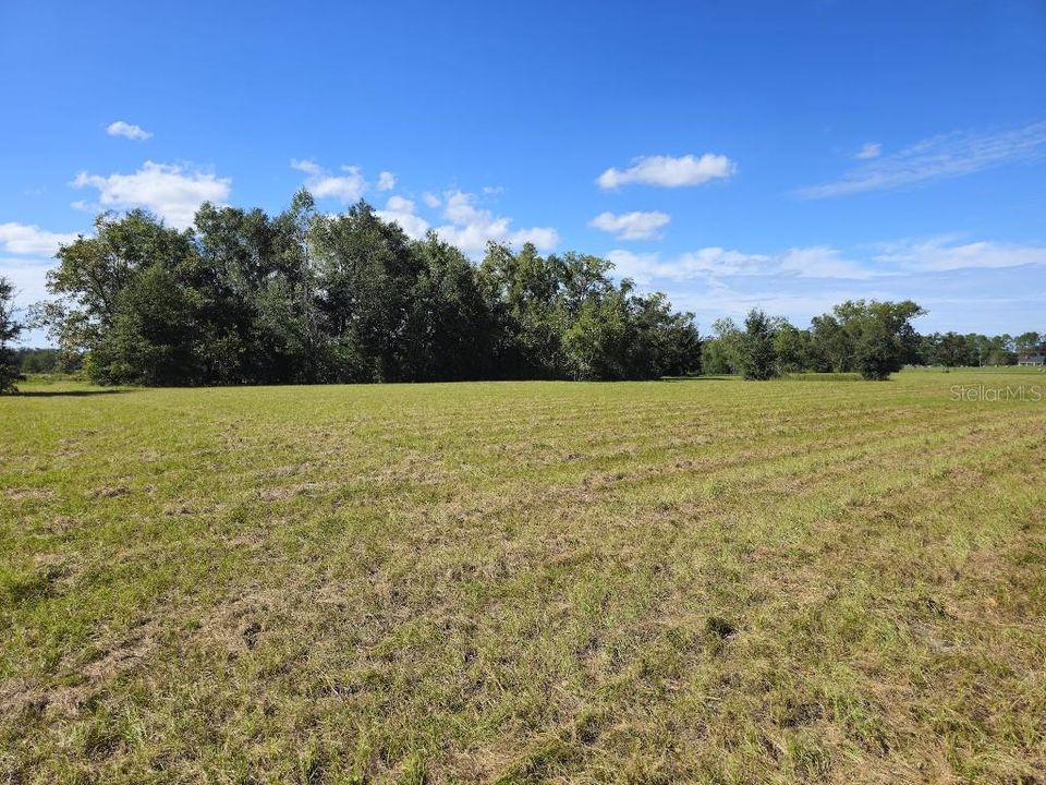 For Sale: $100,000 (4.56 acres)