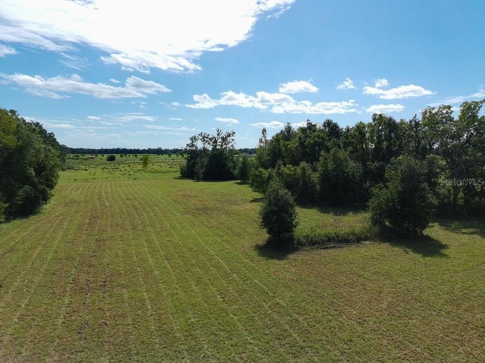 For Sale: $100,000 (4.56 acres)