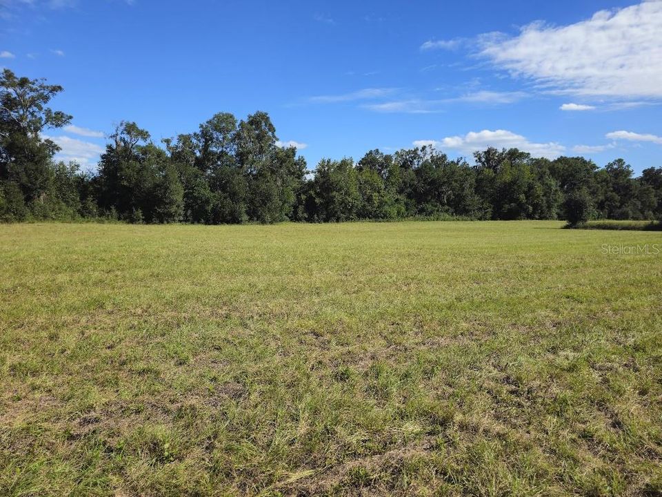 For Sale: $100,000 (4.56 acres)