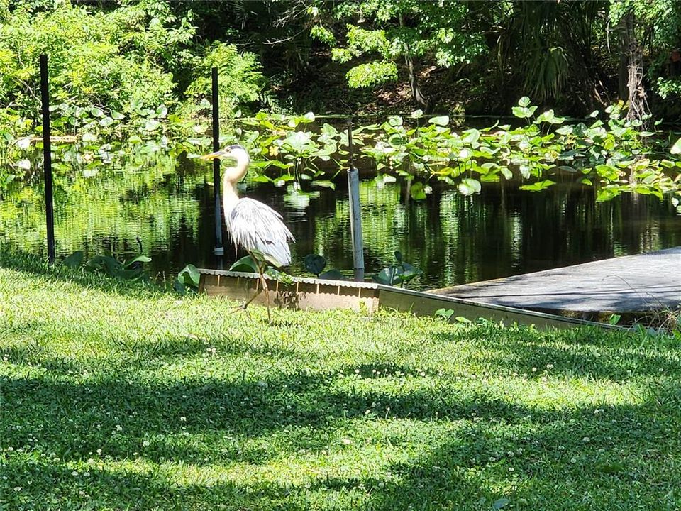 For Sale: $325,000 (2 beds, 1 baths, 988 Square Feet)