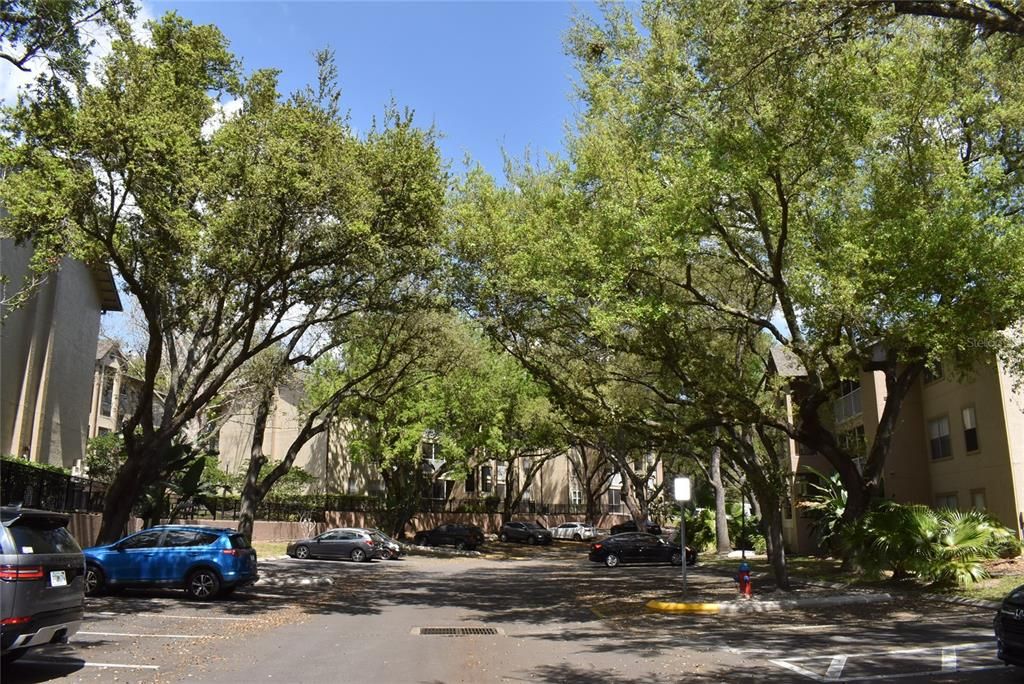 待售: $145,000 (2 贝兹, 2 浴室, 1019 平方英尺)