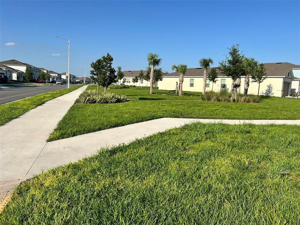 出租: $2,200 (4 贝兹, 2 浴室, 1665 平方英尺)