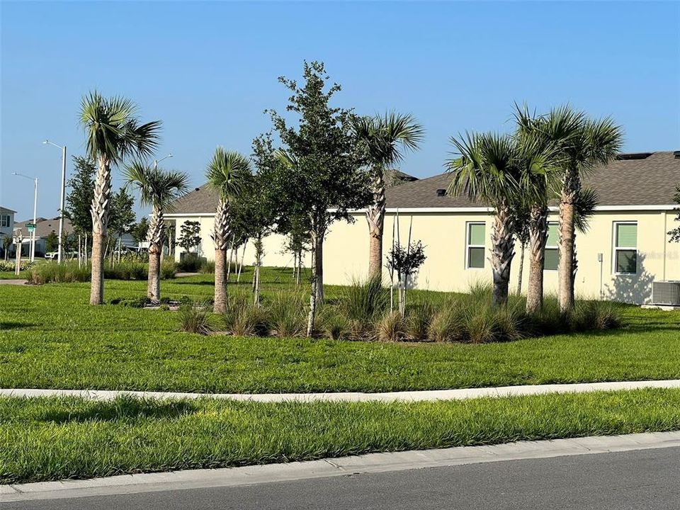 出租: $2,200 (4 贝兹, 2 浴室, 1665 平方英尺)