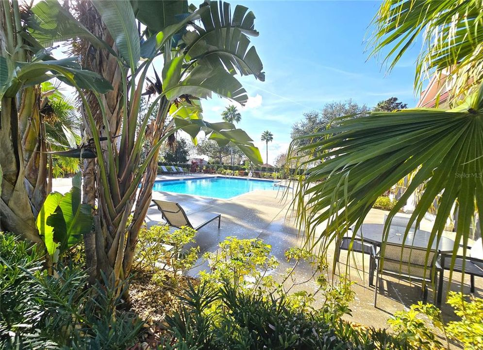 待售: $82,000 (0.32 acres)