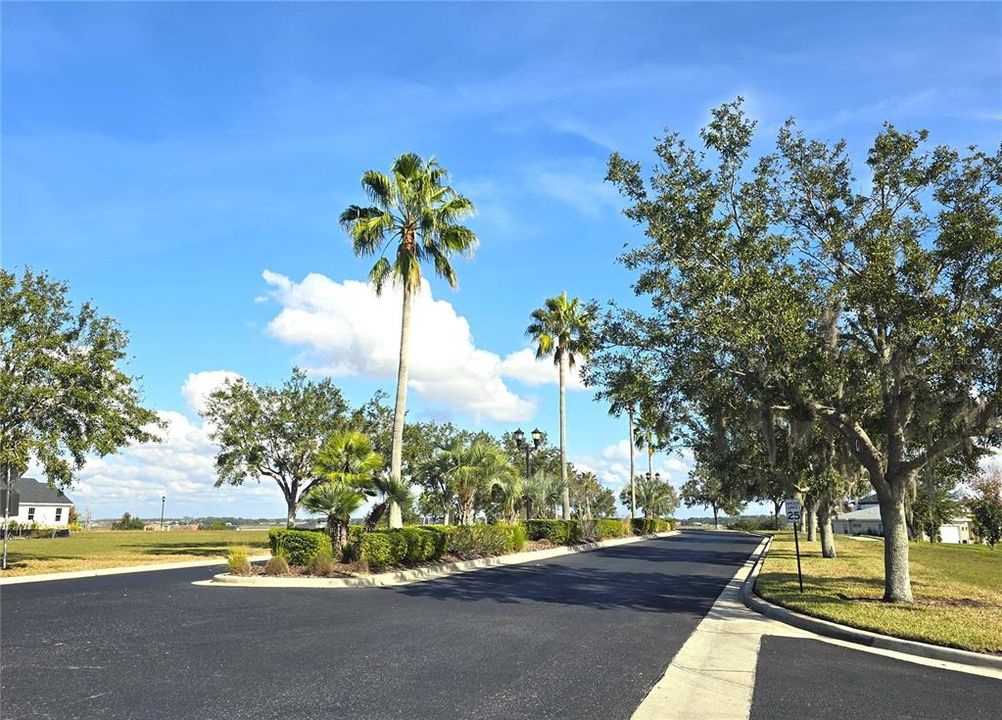 待售: $82,000 (0.32 acres)