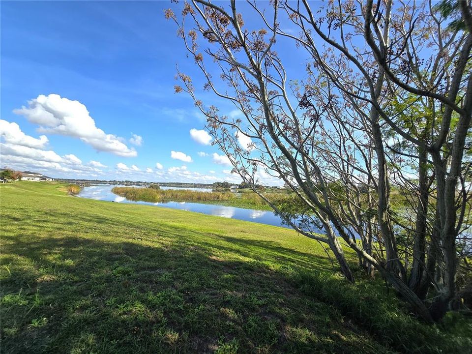 待售: $82,000 (0.32 acres)