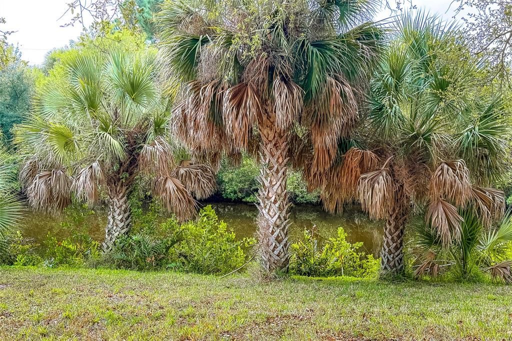 На продажу: $230,000 (3 спален, 2 ванн, 1220 Квадратных фут)