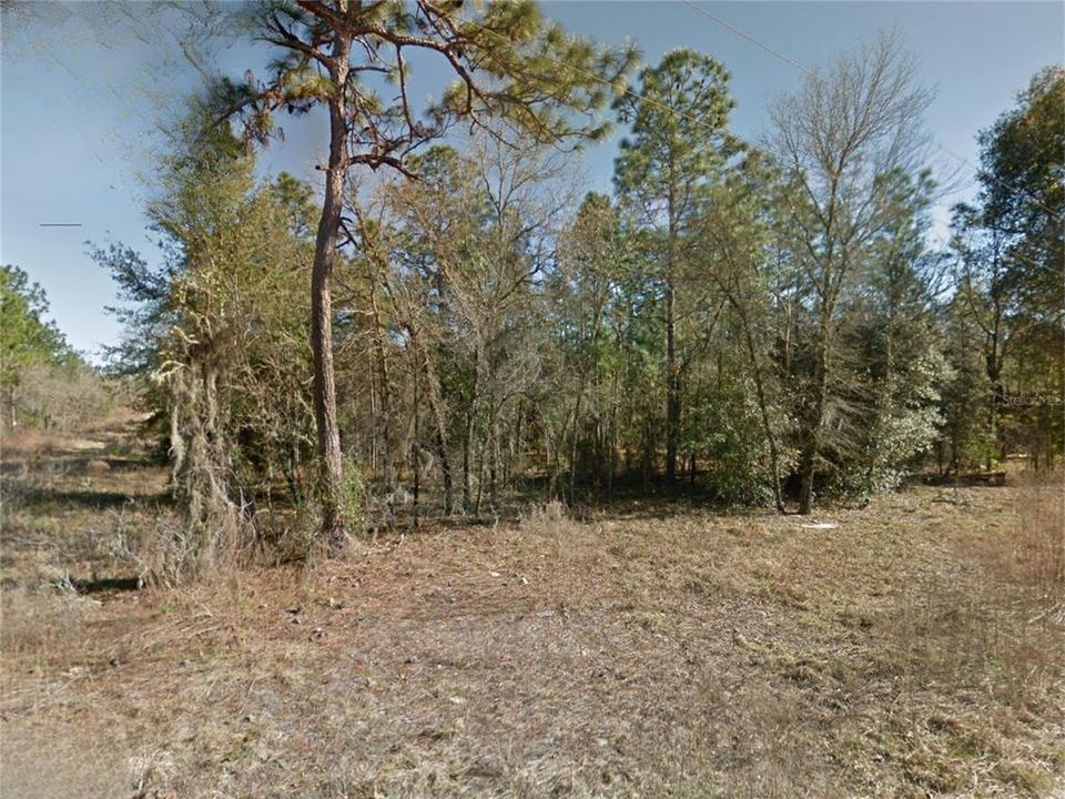 For Sale: $34,500 (0.23 acres)