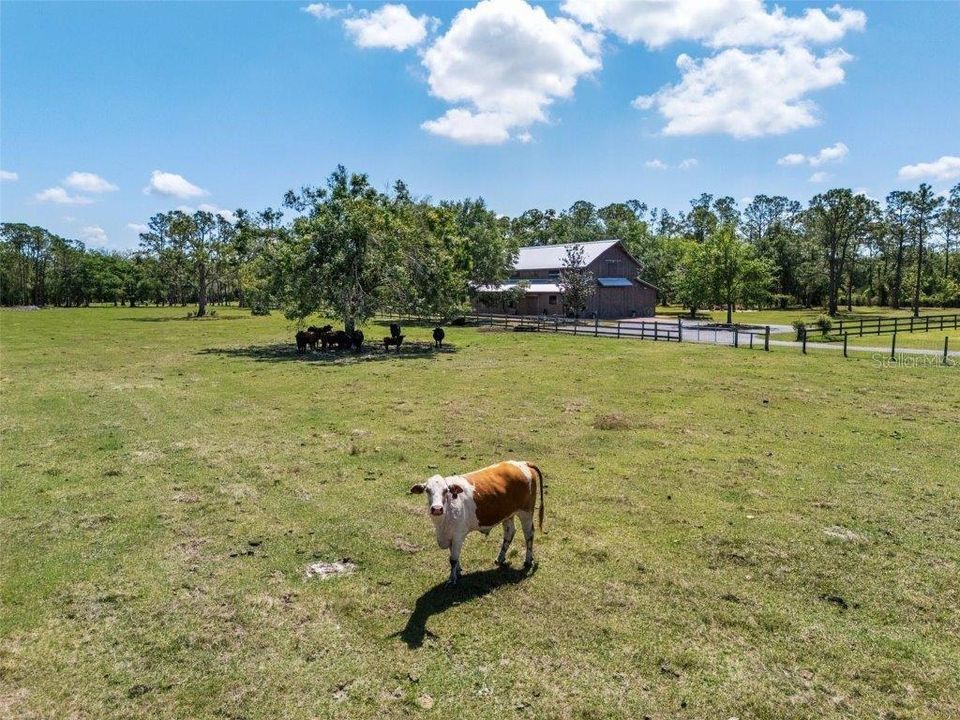 En Venta: $4,950,000 (3 camas, 3 baños, 2888 Pies cuadrados)