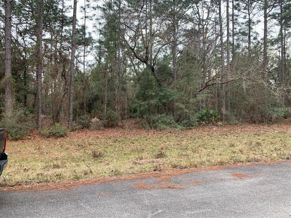 For Sale: $38,000 (0.23 acres)