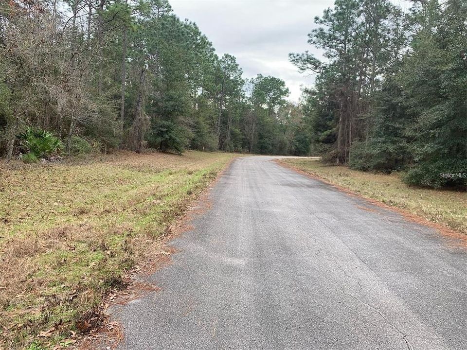 For Sale: $38,000 (0.23 acres)