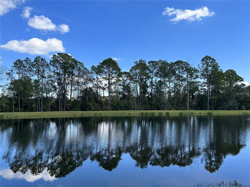 En Venta: $467,000 (4 camas, 2 baños, 1983 Pies cuadrados)