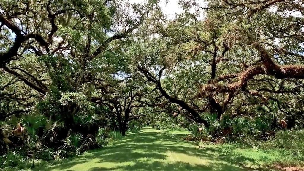 En Venta: $3,295,000 (3 camas, 3 baños, 3738 Pies cuadrados)