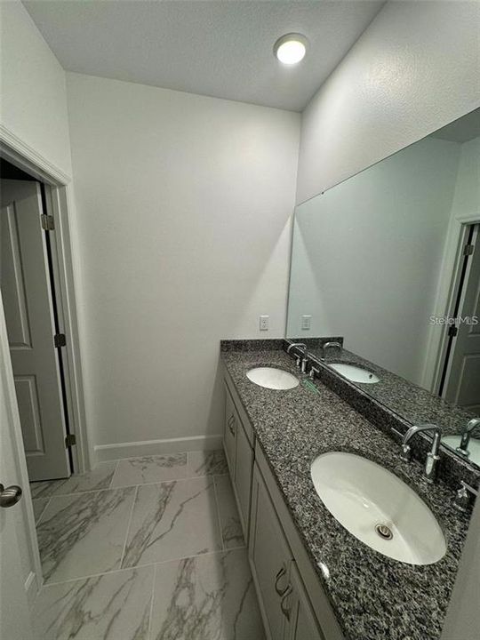 出租: $3,900 (3 贝兹, 2 浴室, 1638 平方英尺)