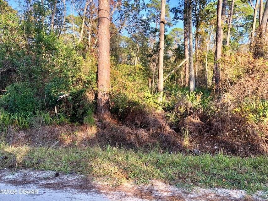 待售: $34,000 (0.26 acres)