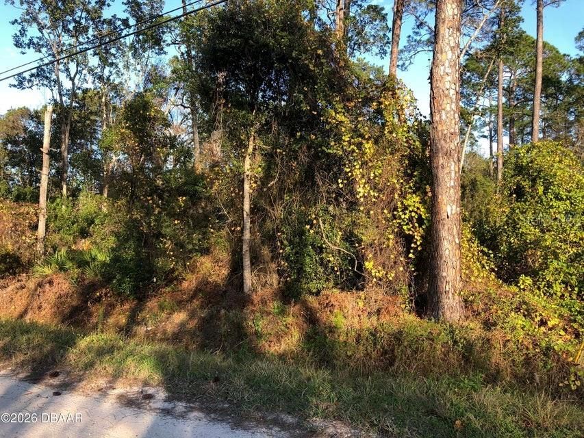 待售: $34,000 (0.26 acres)