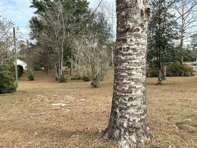 待售: $335,000 (3 贝兹, 2 浴室, 1863 平方英尺)