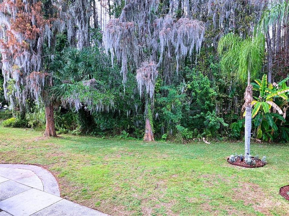 На продажу: $145,000 (1 спален, 1 ванн, 456 Квадратных фут)