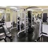 出租: $1,750 (2 贝兹, 2 浴室, 1080 平方英尺)