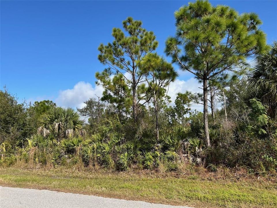 На продажу: $15,000 (0.23 acres)