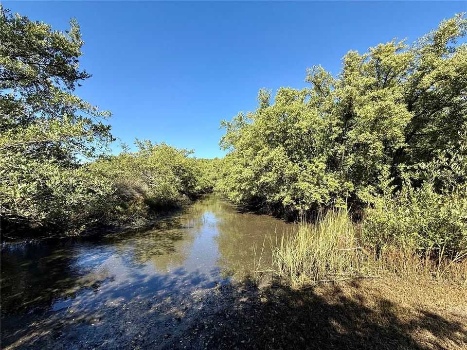 出租: $2,500 (3 贝兹, 2 浴室, 1165 平方英尺)