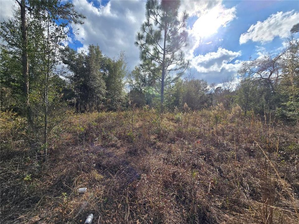 На продажу: $50,000 (1.05 acres)