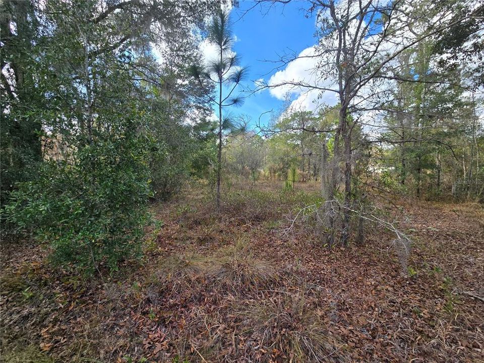 На продажу: $50,000 (1.05 acres)