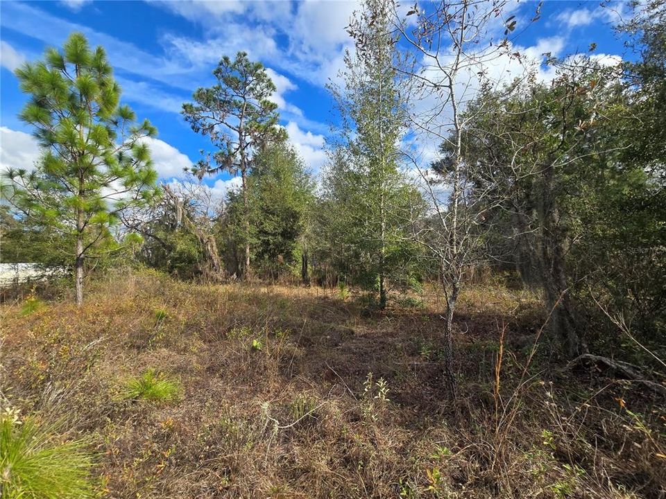 На продажу: $50,000 (1.05 acres)