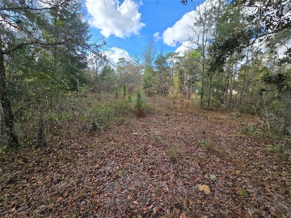 На продажу: $50,000 (1.05 acres)