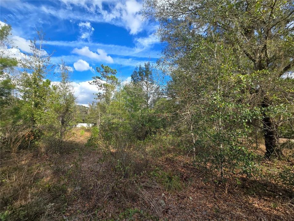 На продажу: $50,000 (1.05 acres)