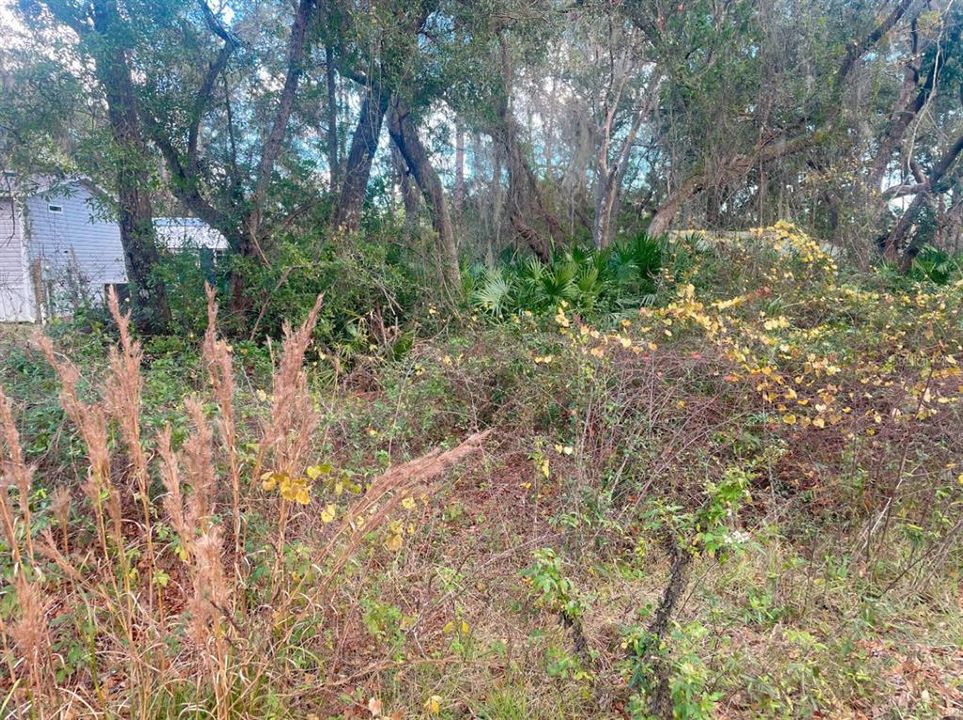 На продажу: $24,000 (0.49 acres)