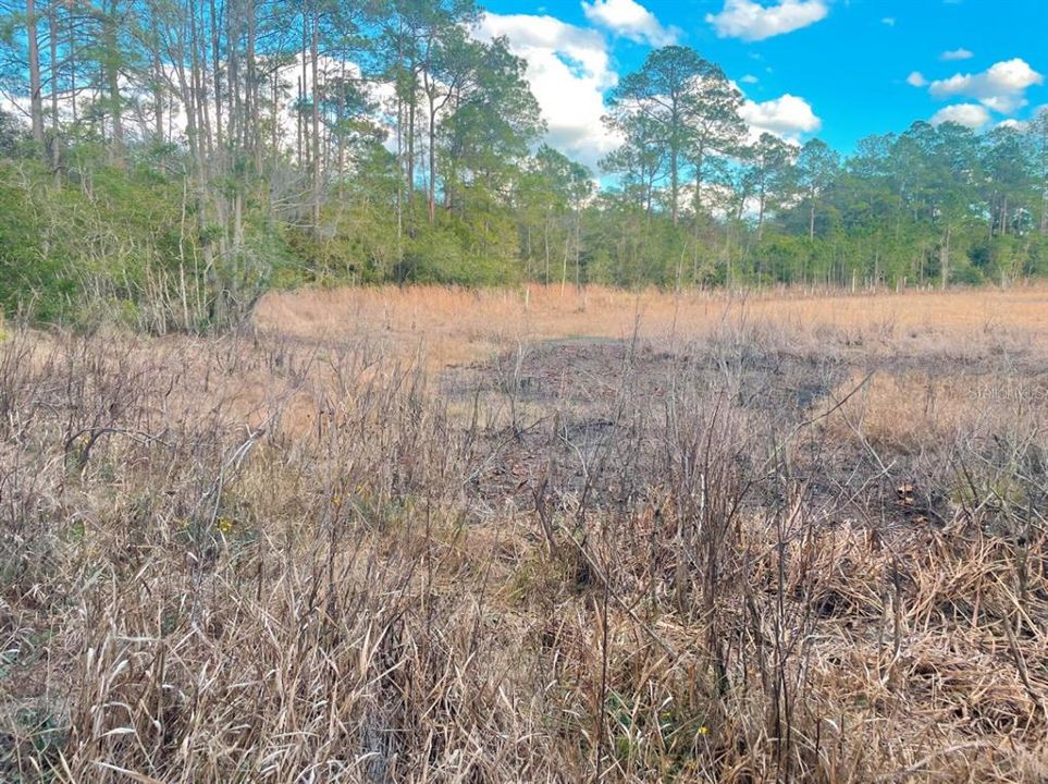 На продажу: $24,000 (0.49 acres)