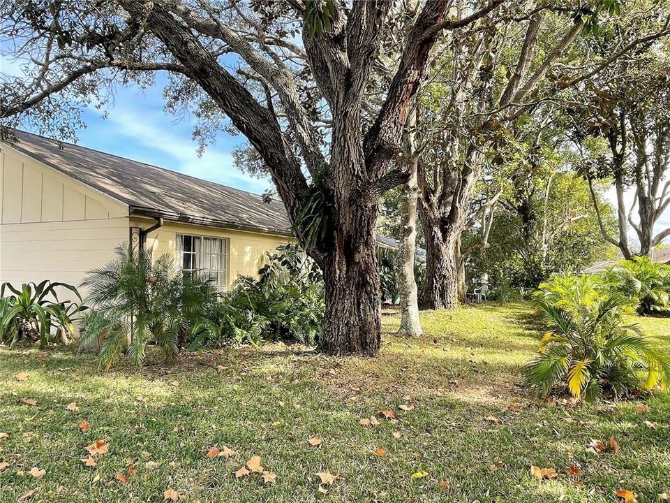 For Sale: $239,900 (3 beds, 2 baths, 1519 Square Feet)