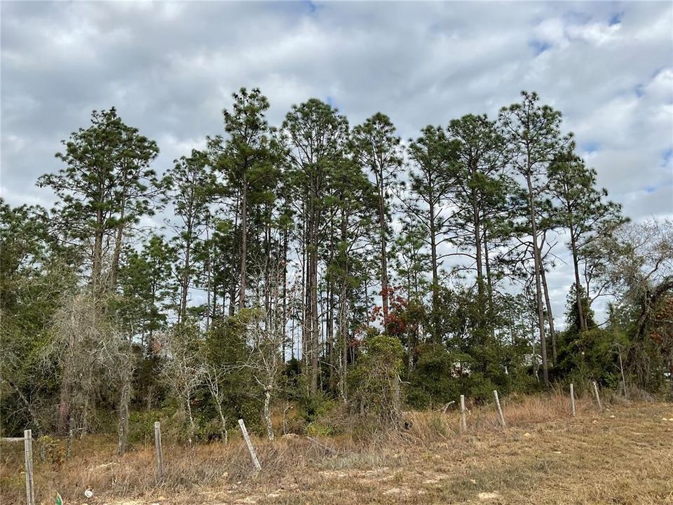 Под контрактом: $28,000 (1.00 acres)