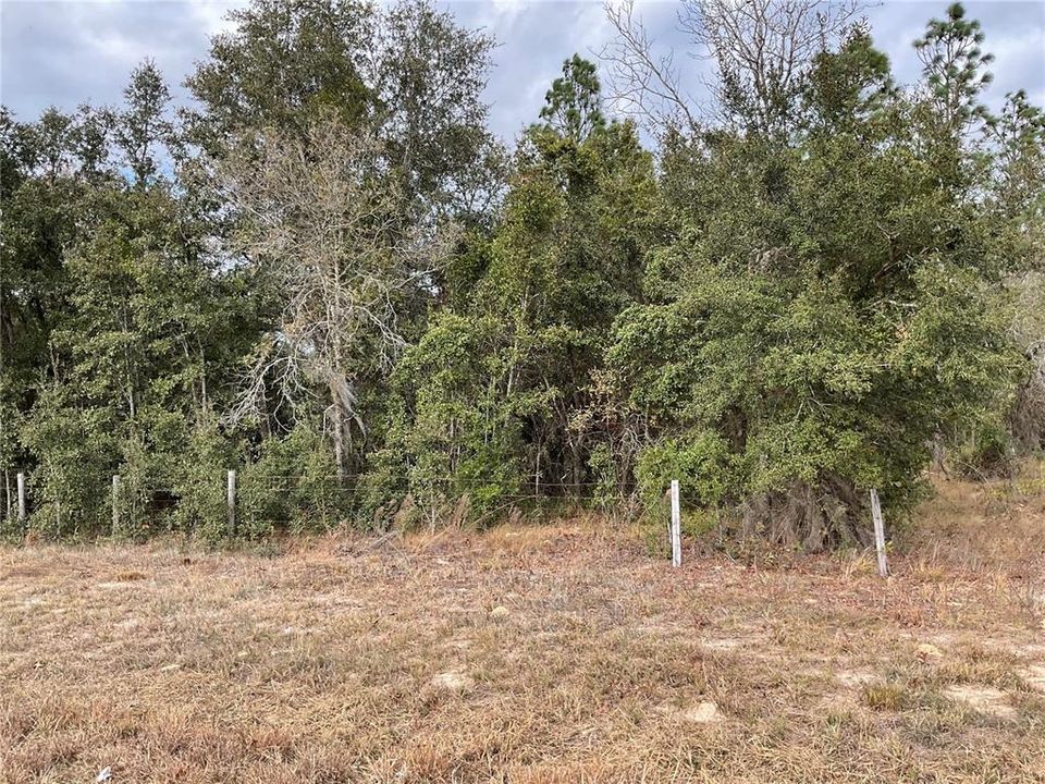 Под контрактом: $28,000 (1.00 acres)