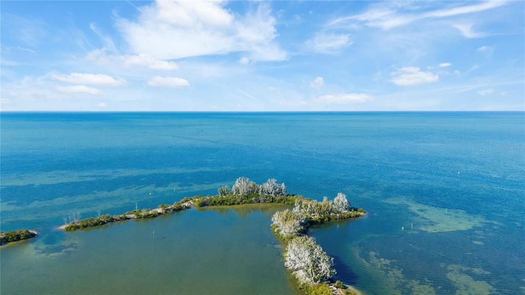 出租: $2,500 (2 贝兹, 2 浴室, 950 平方英尺)