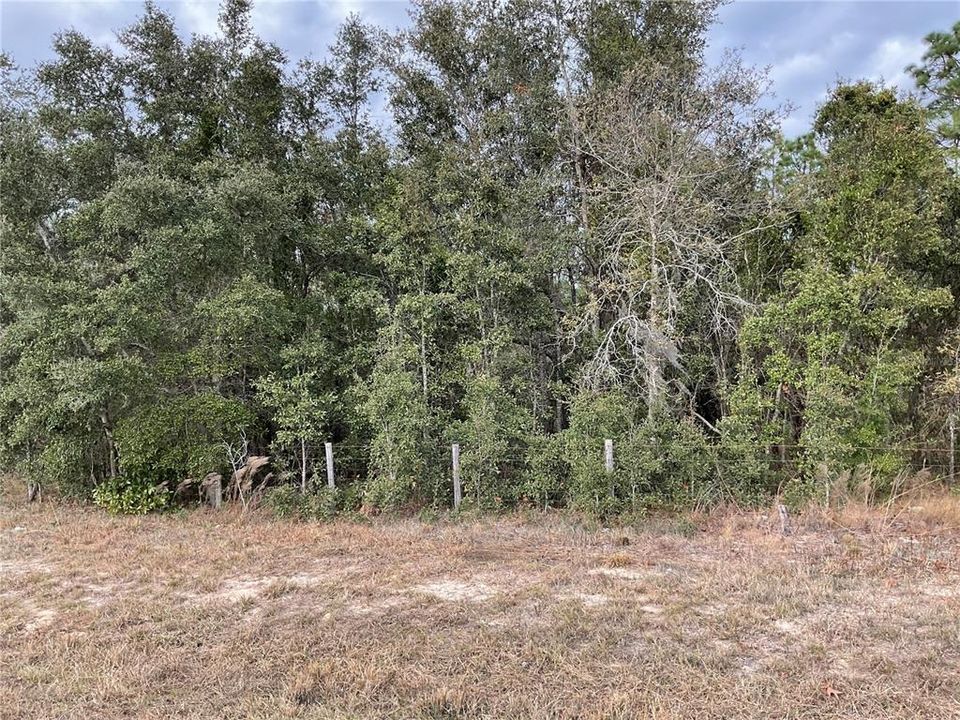 Под контрактом: $28,000 (1.00 acres)