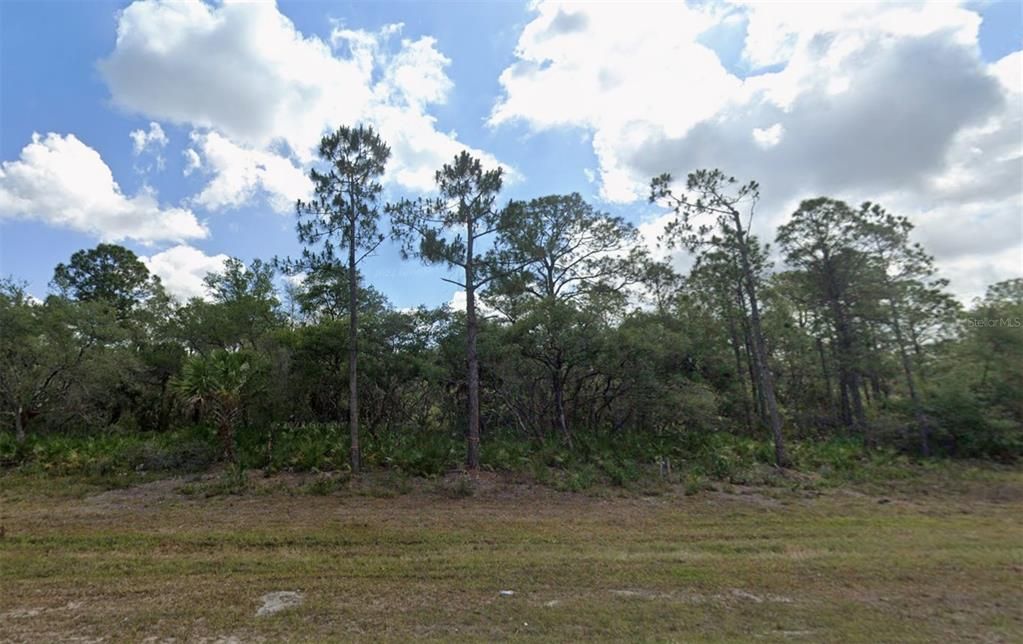 待售: $21,000 (0.23 acres)