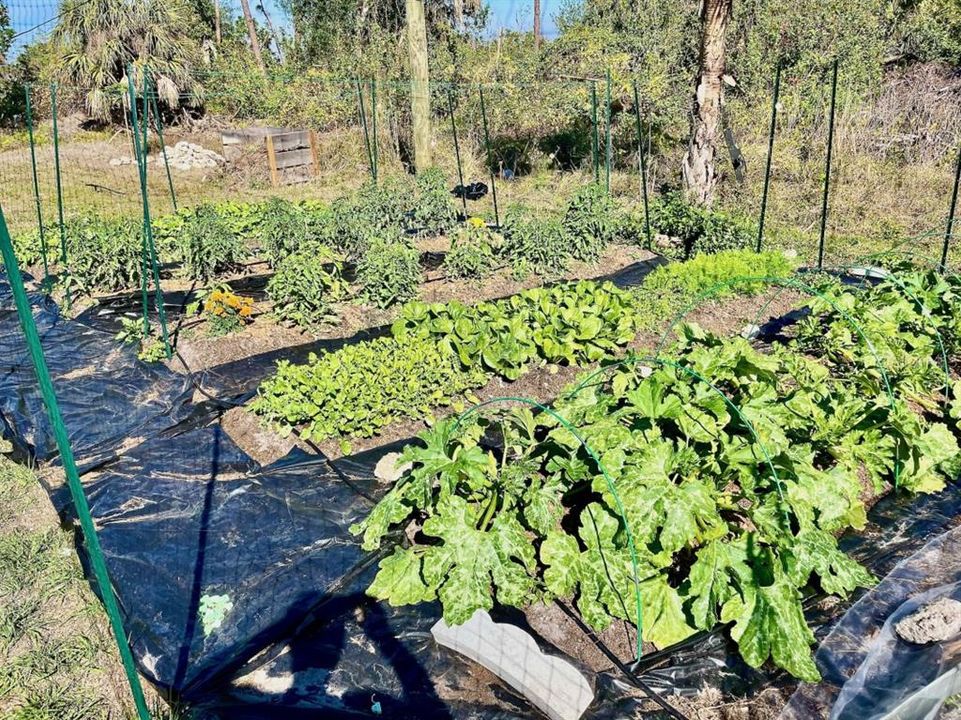 For Sale: $384,900 (3 beds, 2 baths, 1759 Square Feet)