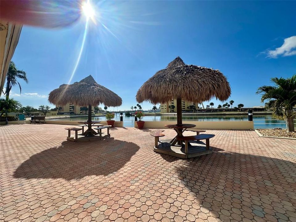 出租: $1,500 (1 贝兹, 1 浴室, 530 平方英尺)