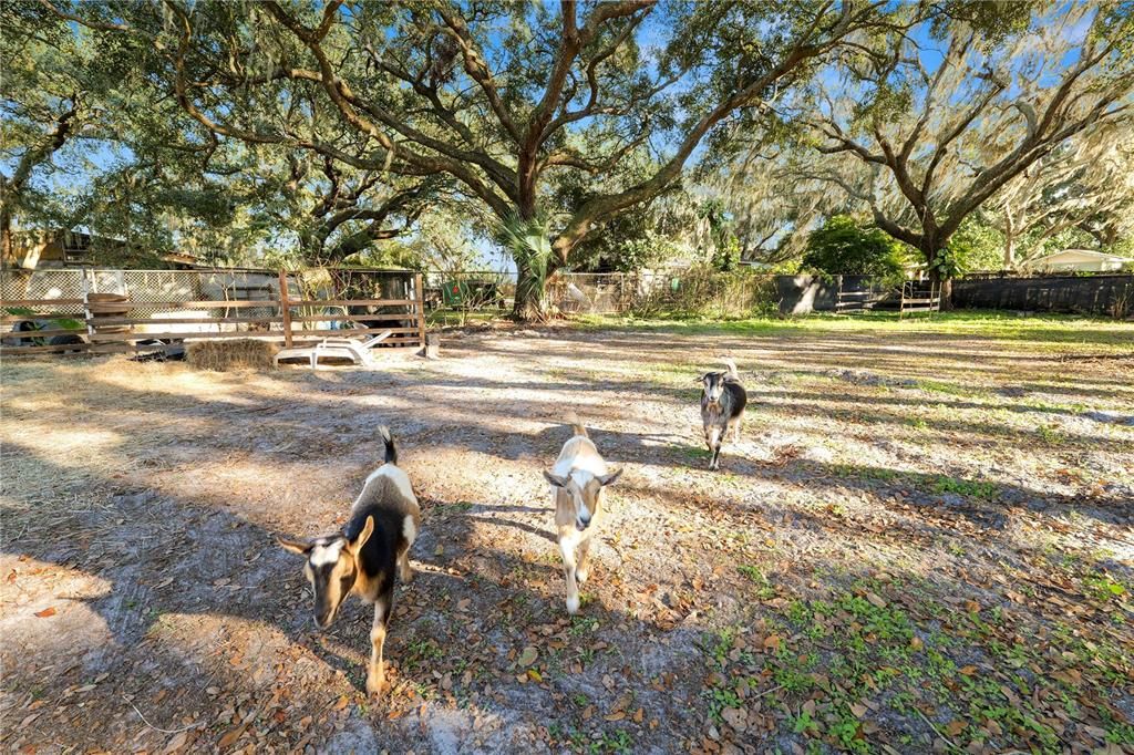 For Sale: $520,000 (3 beds, 3 baths, 2112 Square Feet)