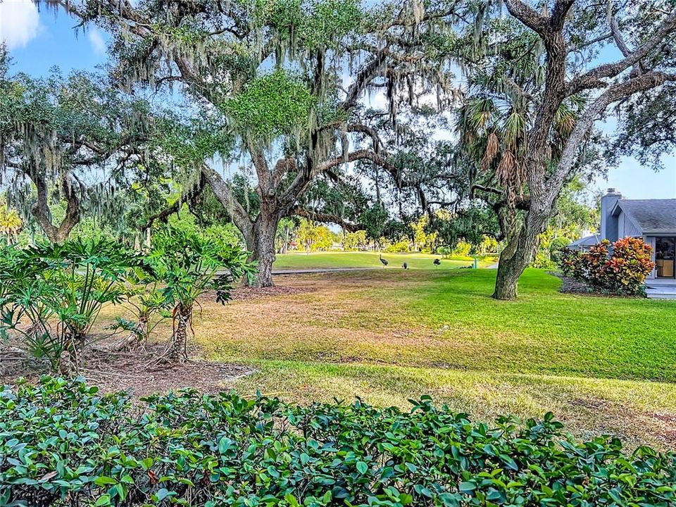 En Renta: $2,500 (3 camas, 2 baños, 2124 Pies cuadrados)