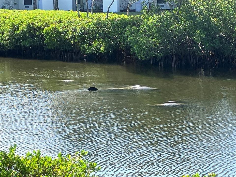 For Sale: $339,000 (2 beds, 1 baths, 1184 Square Feet)