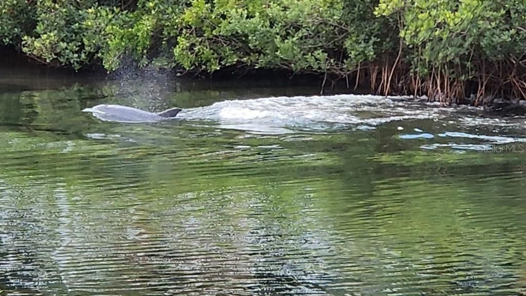 For Sale: $339,000 (2 beds, 1 baths, 1184 Square Feet)