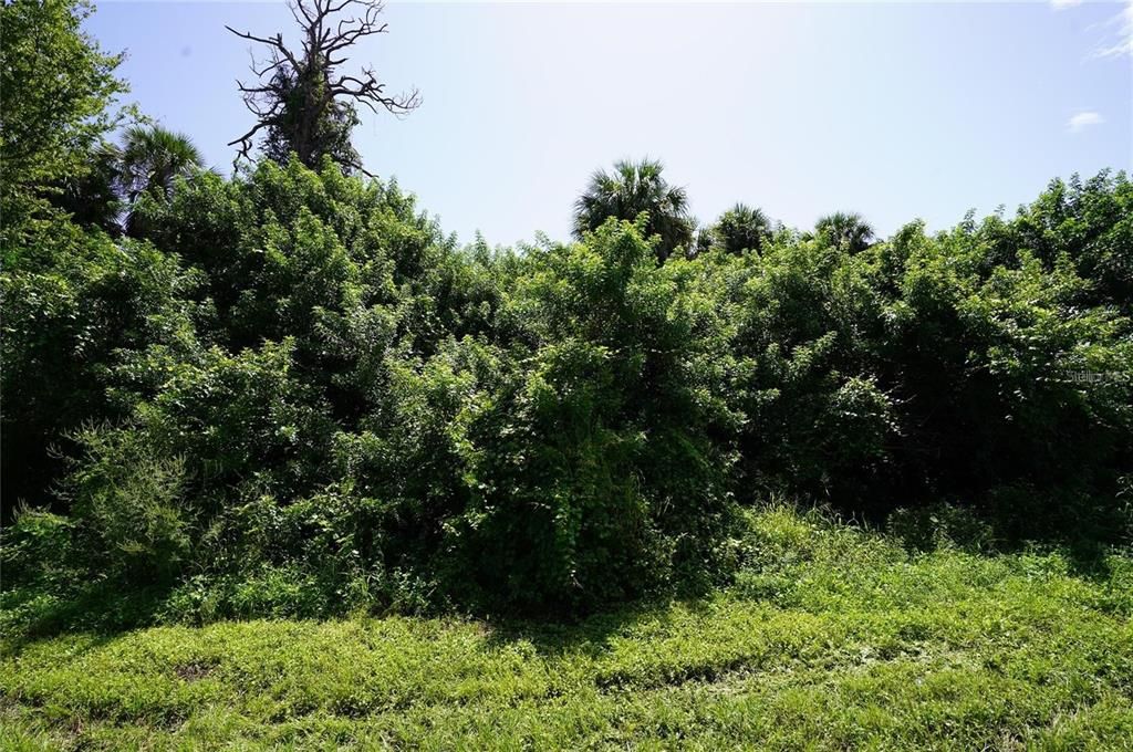 For Sale: $25,500 (0.27 acres)